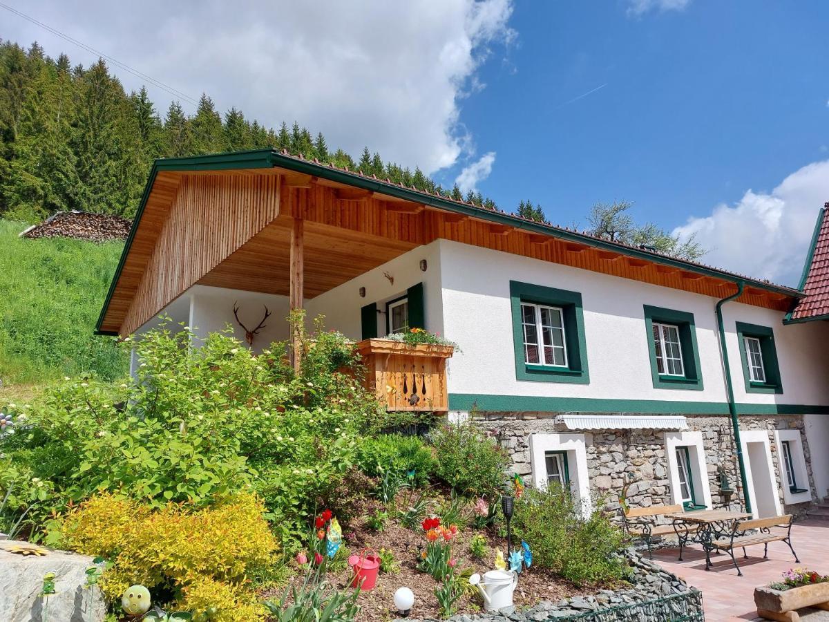 Landhaus Gruenjuwel Himmelberg المظهر الخارجي الصورة